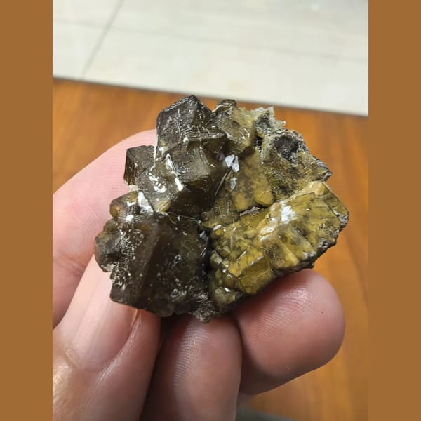 Two-tone garnet with secondary growth — complete view