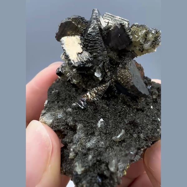 Tarnished Arsenopyrite Rosettes Yaogangxian 4.3 cm — alternate view