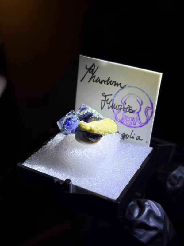 Cross-Phantom Fluorite with Yellow Mineral from Yindu — complete view 4 of the exact specimen