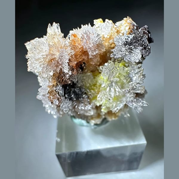 Multicolor Creedite Flower Qinglong 2.3 cm — detail view