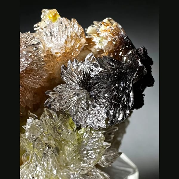 Multicolor Creedite Flower Qinglong 2.3 cm — detail view
