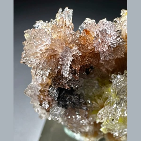 Multicolor Creedite Flower Qinglong 2.3 cm — detail view