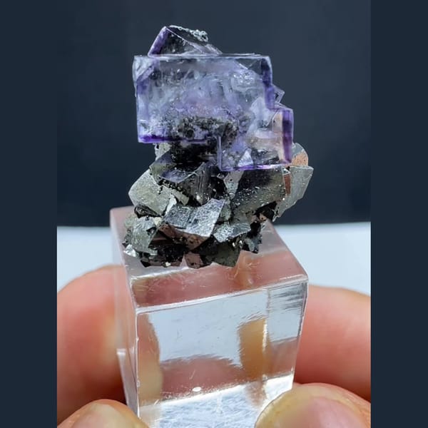Arsenopyrite with Purple Fluorite Yaogangxian 1.8 cm — complete view