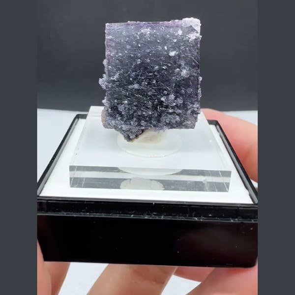 Dark Fluorite with Bismuthinite Yaogangxian 2.4 cm — complete view