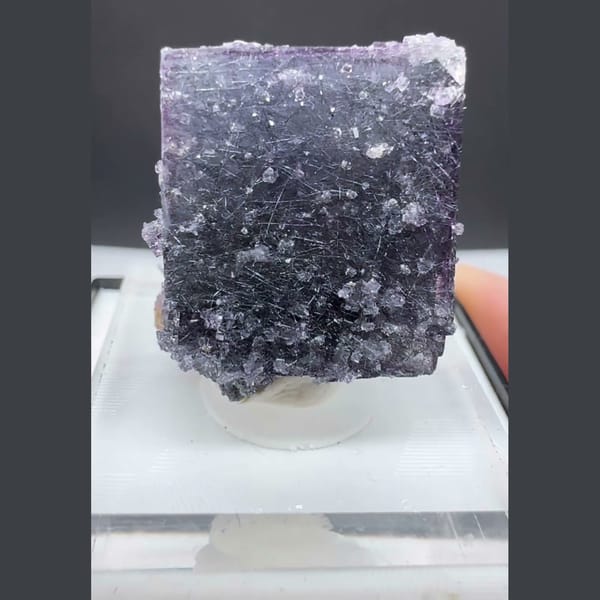 Dark Fluorite with Bismuthinite Yaogangxian 2.4 cm — alternate view