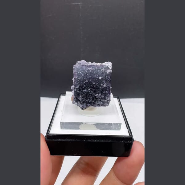 Dark Fluorite with Bismuthinite Yaogangxian 2.4 cm — detail view