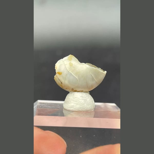 Small olive-green anapaite crystal ball from Yunnan — detail view