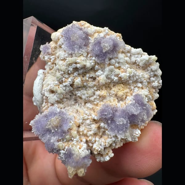 Purple creedite flower clusters on matrix from Guizhou — detail view