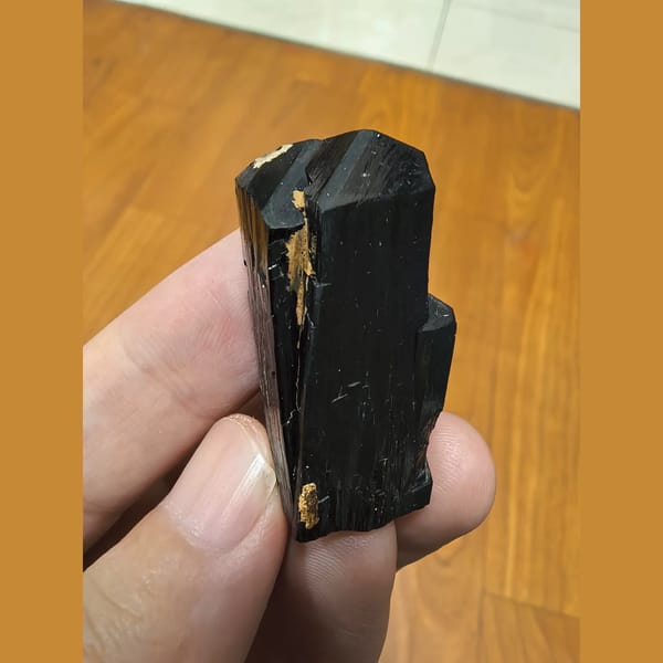 Lustrous black ilvaite crystal — complete view