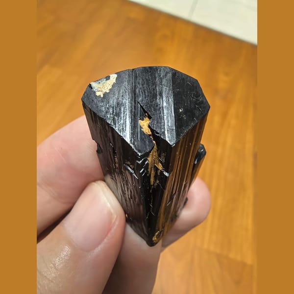 Lustrous black ilvaite crystal — alternate view