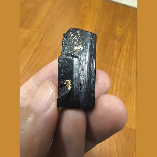 Lustrous black ilvaite crystal — detail view