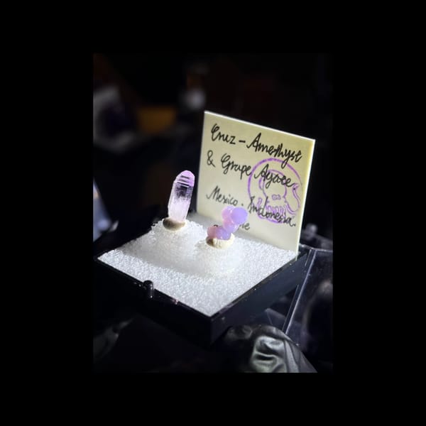 Cruz amethyst point and lavender grape agate in a display box — complete view