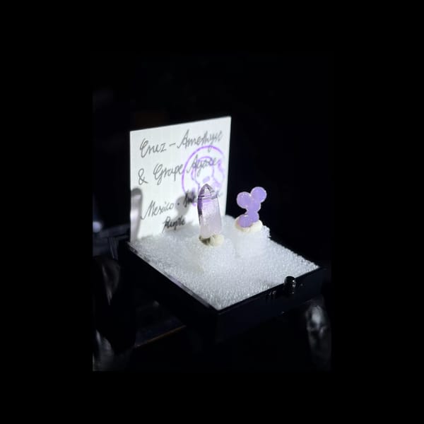 Cruz amethyst point and lavender grape agate in a display box — alternate view