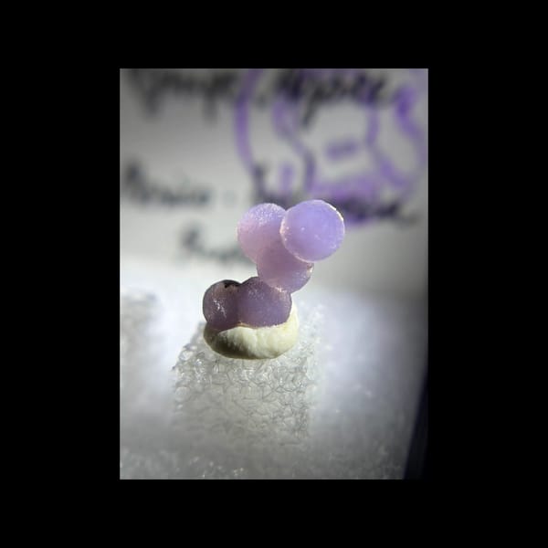 Cruz amethyst point and lavender grape agate in a display box — alternate view