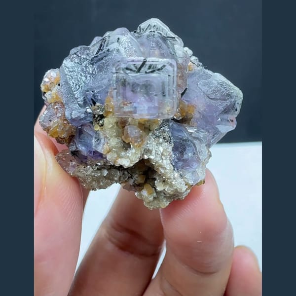 Fluorite with Wolframite and Mica Yaogangxian 3.1 cm — complete view