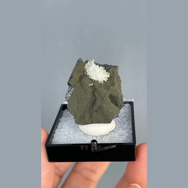 White calcite crystals on dark matrix from Vietnam — complete view