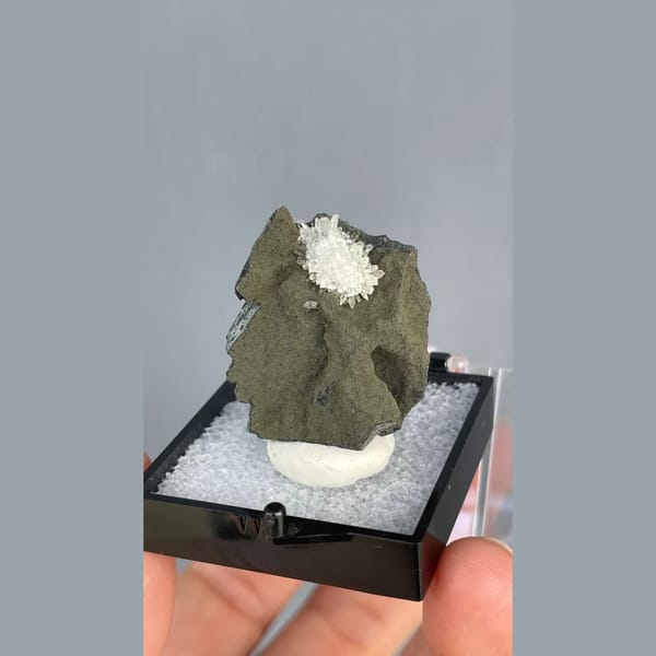 White calcite crystals on dark matrix from Vietnam — alternate view