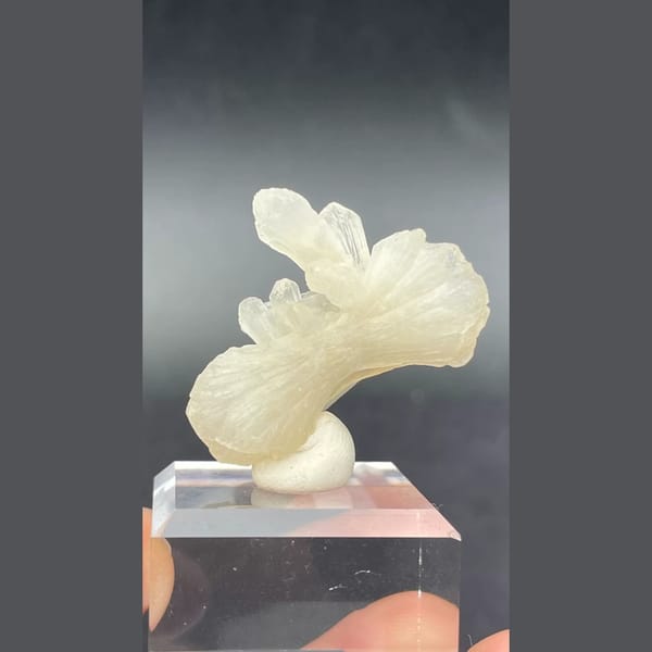 Creamy bow-tie stilbite crystal from India — complete view
