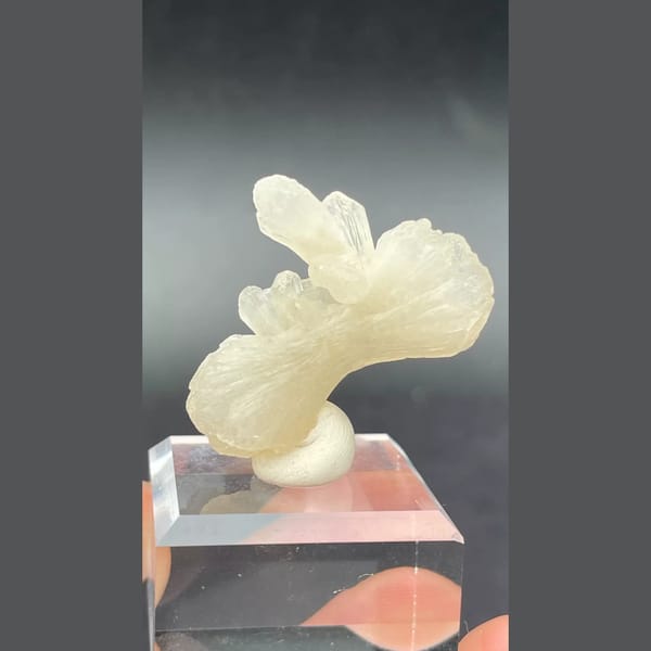 Creamy bow-tie stilbite crystal from India — alternate view