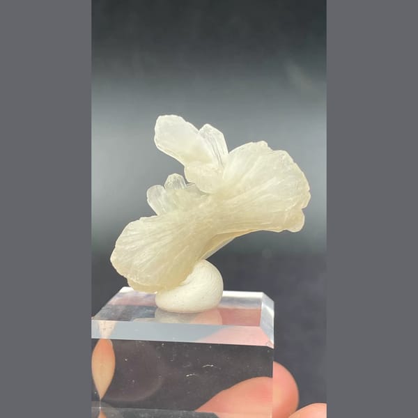 Creamy bow-tie stilbite crystal from India — alternate view
