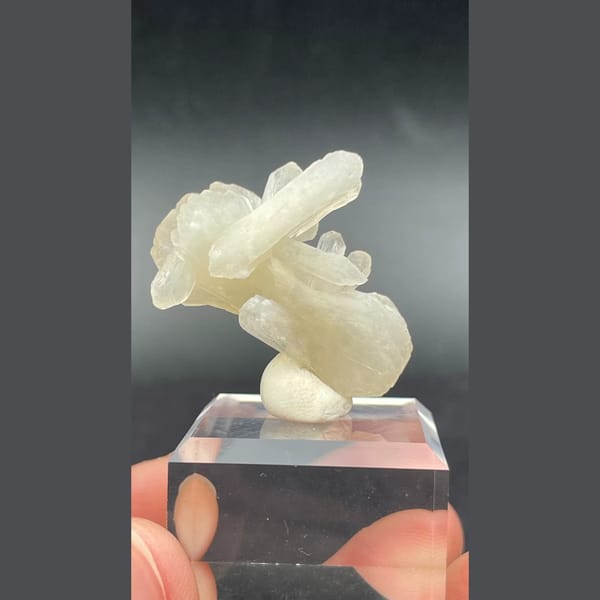Creamy bow-tie stilbite crystal from India — detail view