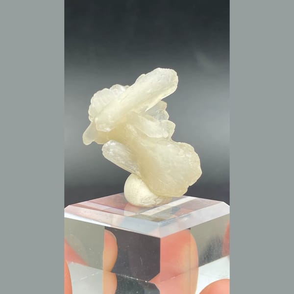 Creamy bow-tie stilbite crystal from India — detail view