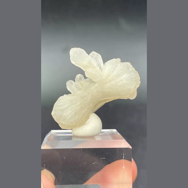 Creamy bow-tie stilbite crystal from India — detail view
