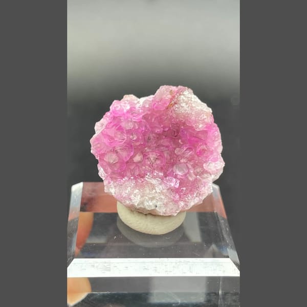 Pink Cobaltoan Calcite Democratic Republic of the Congo 2.5 cm — alternate view