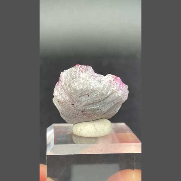 Pink Cobaltoan Calcite Democratic Republic of the Congo 2.5 cm — detail view