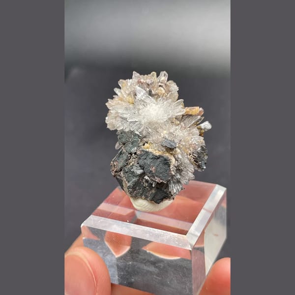 Gearksutite flower on matrix from Guizhou — complete view
