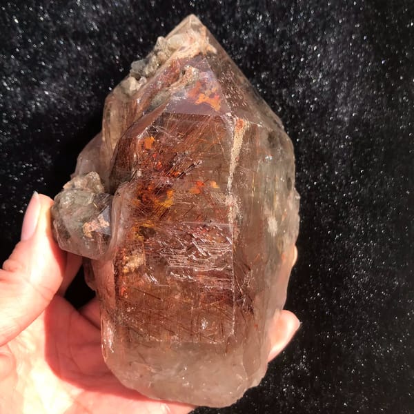 Quartz crystal densely packed with red-copper rutile needles — complete view