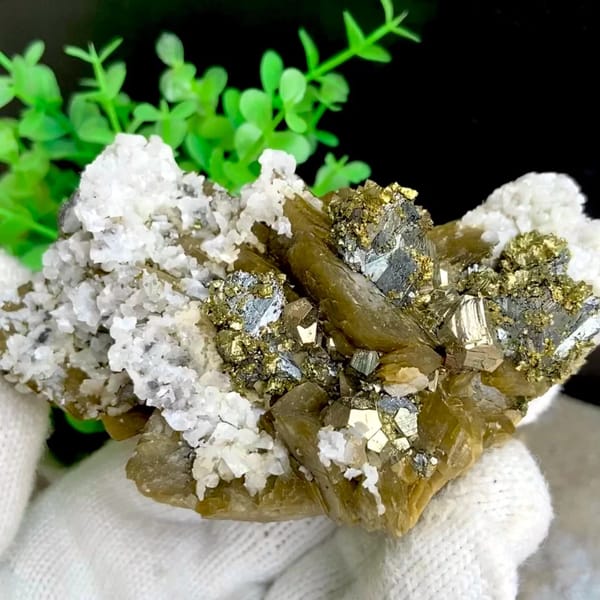 Chalcopyrite and tetrahedrite on golden siderite with white dolomite — complete view