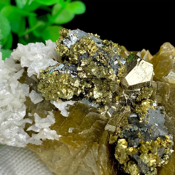Chalcopyrite and tetrahedrite on golden siderite with white dolomite — alternate view