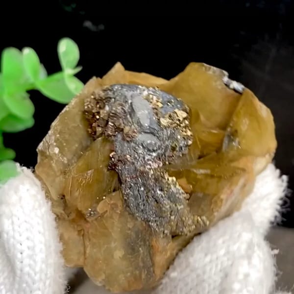 Grey tetrahedrite and brassy chalcopyrite in golden-brown siderite — complete view