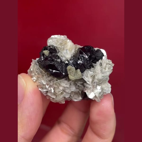 Xuebaoding panda-ore cassiterite beryl mica association — alternate view