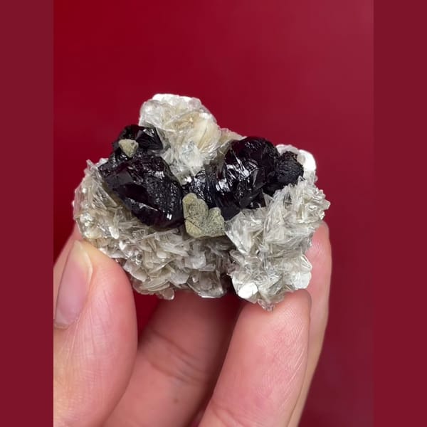 Xuebaoding panda-ore cassiterite beryl mica association — detail view