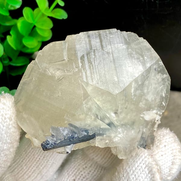 Glassy calcite crystal with dark metallic stibnite blades — complete view