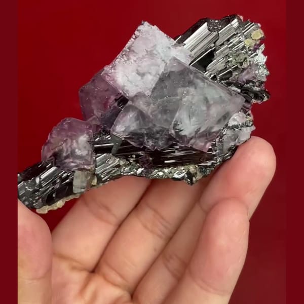 Yaogangxian wolframite with purple fluorite quartz mica — detail view