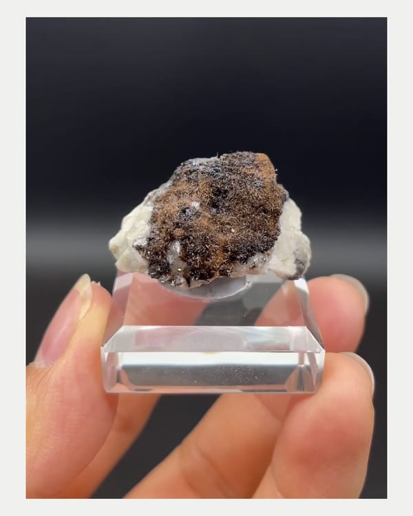 Complete front view of brown goethite on pale matrix