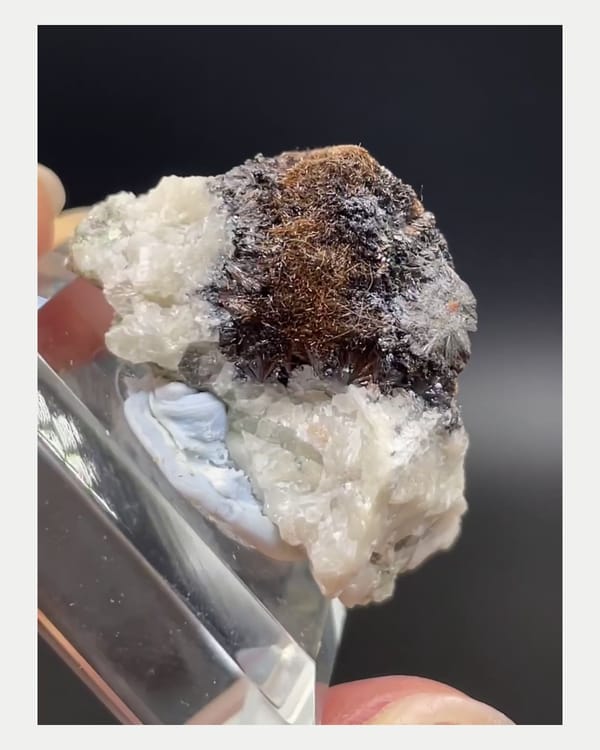 Complete reverse view of brown goethite on pale matrix