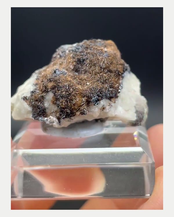 Complete right oblique view of brown goethite on pale matrix