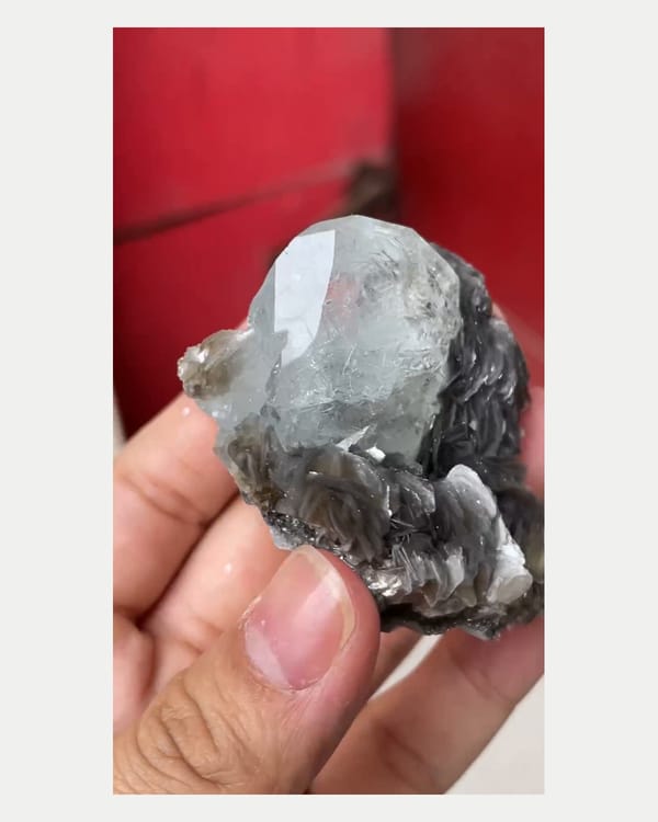 Complete reverse view of aquamarine crystal with mica