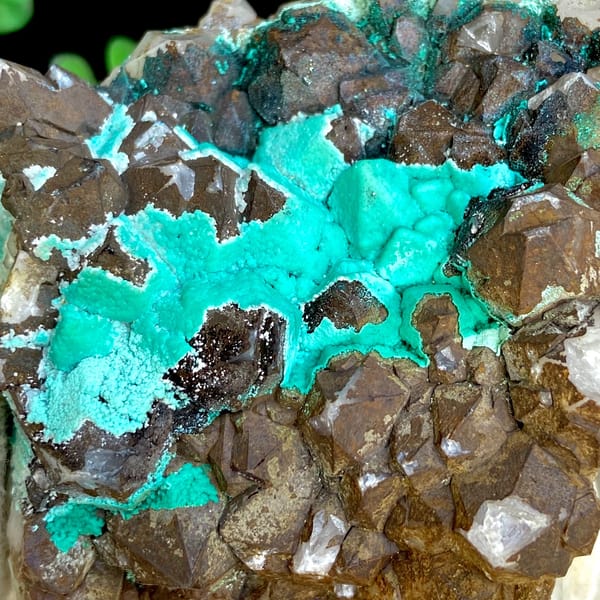 Turquoise chrysocolla among smoky quartz crystals — complete view