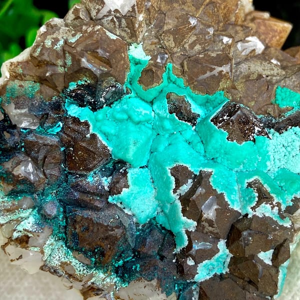 Turquoise chrysocolla among smoky quartz crystals — alternate view