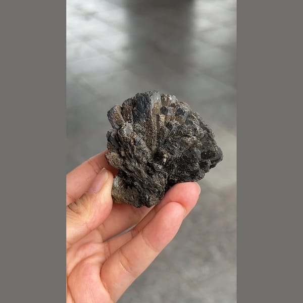Black prismatic ilvaite crystal spray from Inner Mongolia — complete view