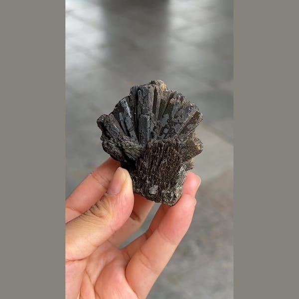 Black prismatic ilvaite crystal spray from Inner Mongolia — alternate view