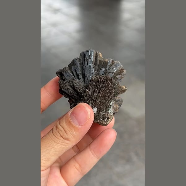 Black prismatic ilvaite crystal spray from Inner Mongolia — detail view