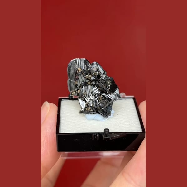 Black bladed wolframite with pyrite from Yaogangxian, Hunan — complete view