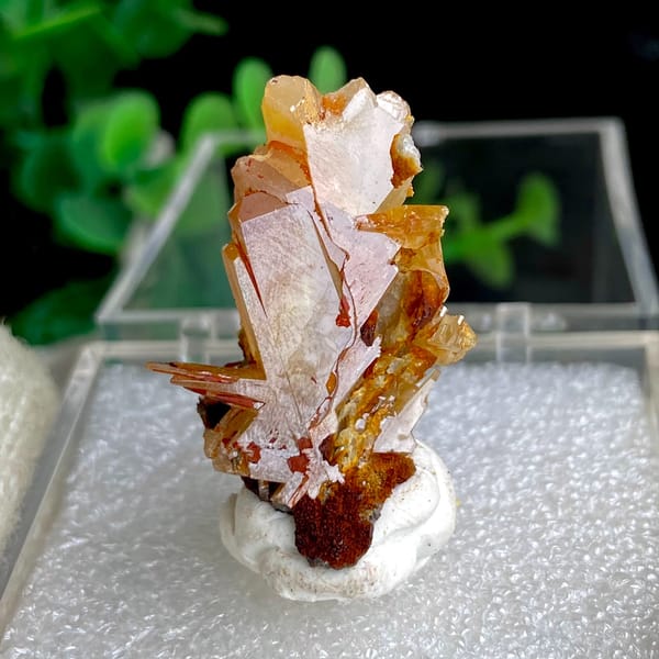 Translucent yellow-amber cerussite crystals in a display box — complete view