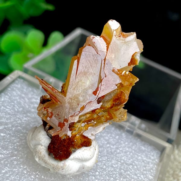 Translucent yellow-amber cerussite crystals in a display box — alternate view
